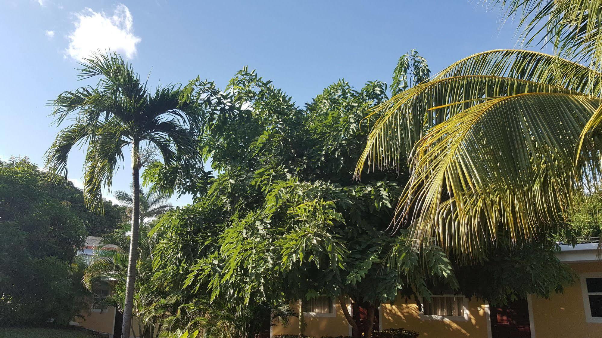 Hotel La Arboleda Managua Exteriör bild